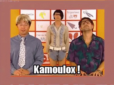 Kamoulox GIF