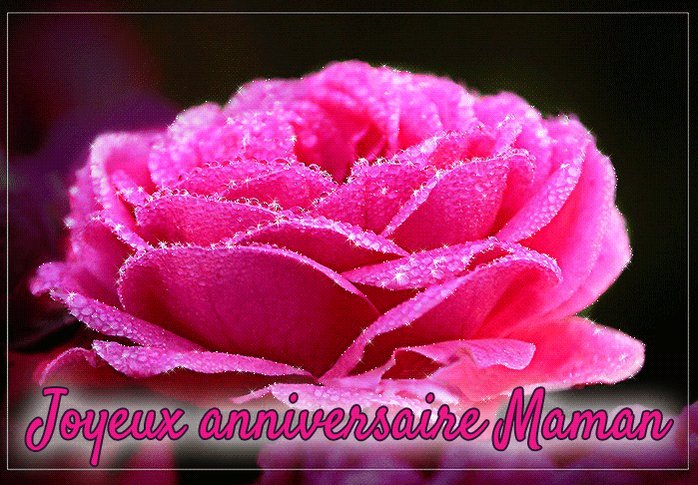 Wivine M Bon Anniversaire Maman Cherie T Co Puqydg14fz Twitter