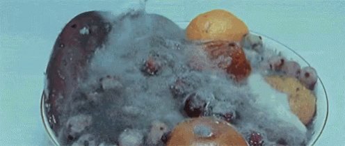 Moldy Fruit GIF