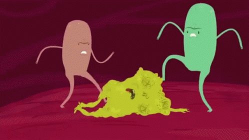 Bacteria GIF