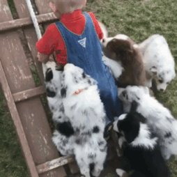 Baby Aww GIF