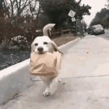 Lunch Lunch Time GIF