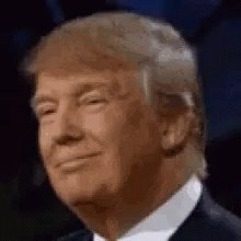 Trump Donald Trump GIF
