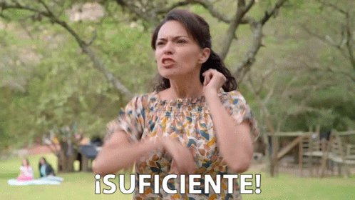 Suficiente Ya Basta GIF