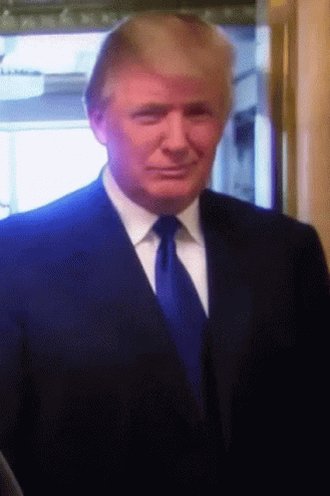 Usa EEUU GIF