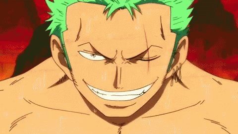 Animes In Japan 🎄 on X: Zoro sola, ou é papo de fanboys? (Via