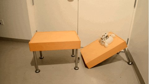 jump robot GIF by Harvard U...