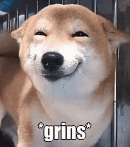 Tis a good morning. https://t.co/oWwrfUQdN2
