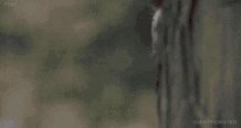 I’ll be back https://t.co/qyMG12tink