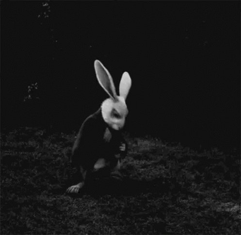 Time Rabbit GIF