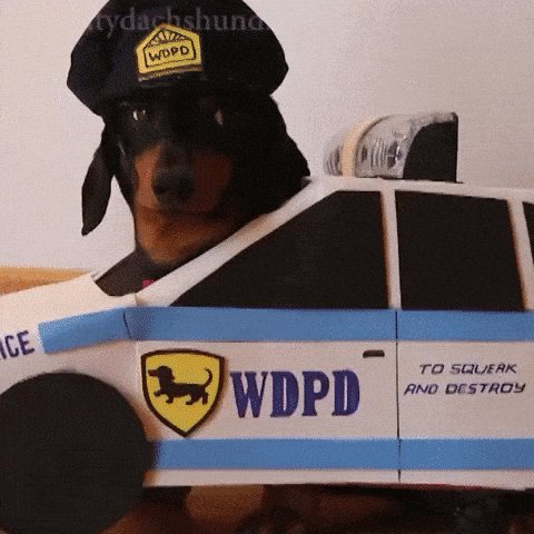 cops robbers GIF