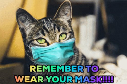 Coronavirus Mask GIF