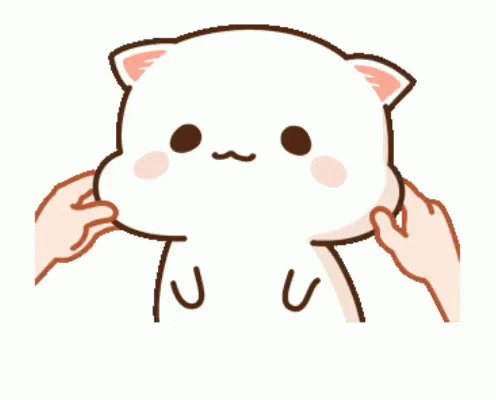 Cute Kitten GIF