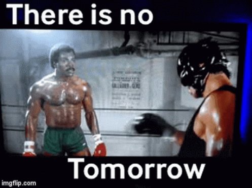 Rocky Balboa Sylvester GIF