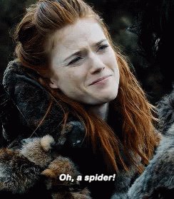 Spider Gameofthrones GIF