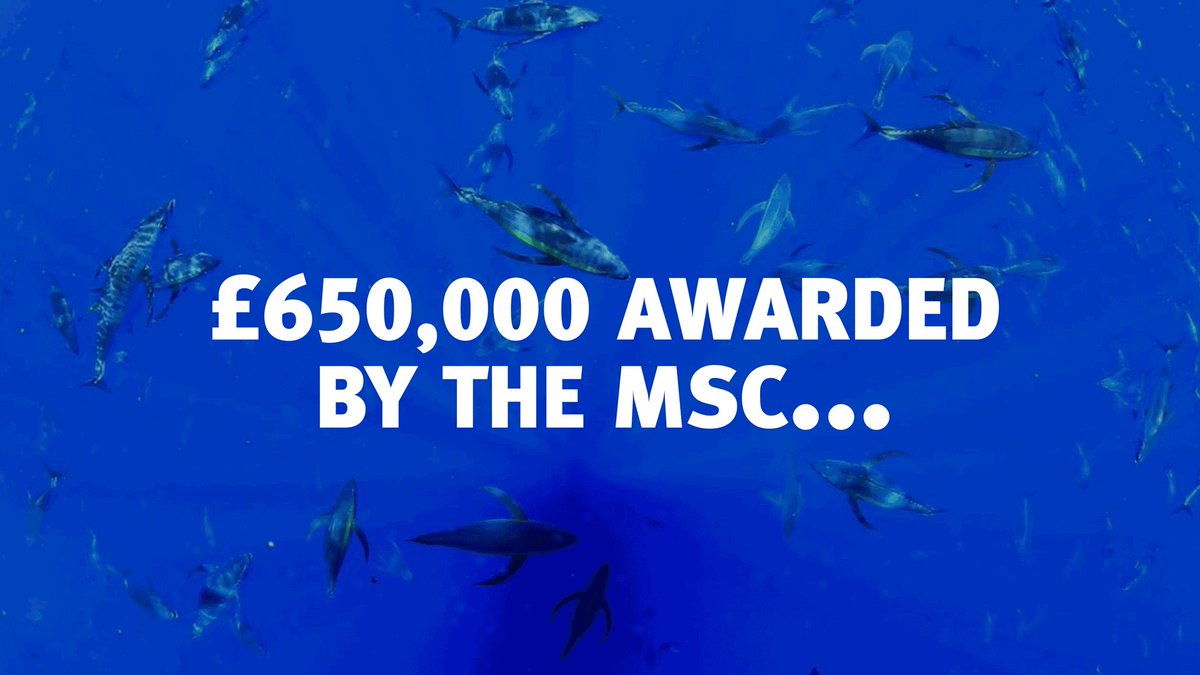 MSCecolabel photo