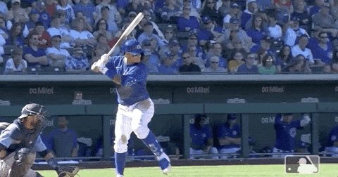 Home Run Javy Baez GIF by Chicago Cubs