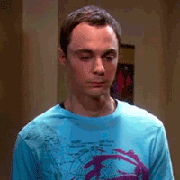 sheldon GIF