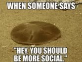 When Someone Says Be More Social GIF