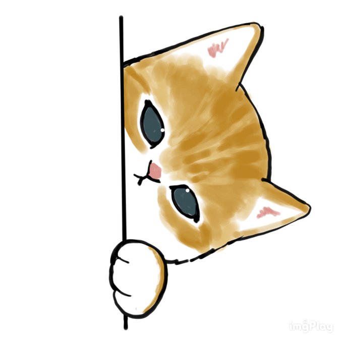 ワトソンくん見たまえ 水をひっくり返して床をビシャビシャにした猫が 家を走り回った結果だ