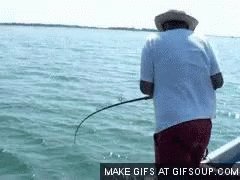 Fishing Fail GIF