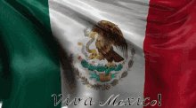 Viva Mexico Bandera Mexicana GIF