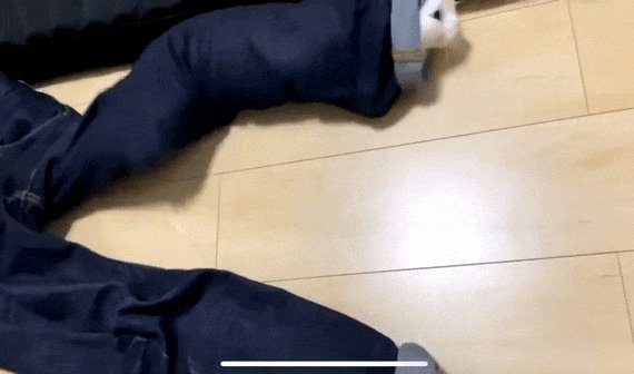 트위터, twitter - 딸플릭스