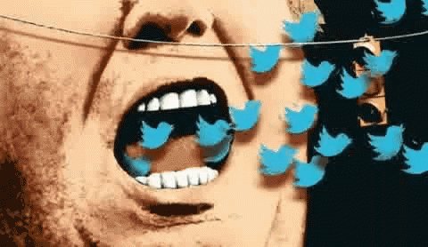 Donald Trump Twitter GIF
