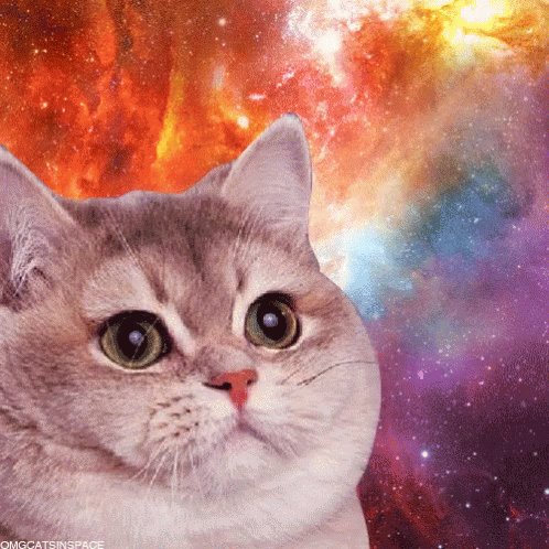 宇宙猫のtwitterイラスト検索結果 宇宙猫のtwitterイラスト検索結果