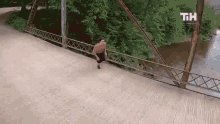 Trampoline Dive This Is Happening GIF