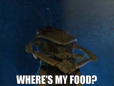 Who LOVES to cook?  What&rsquo;s your very best dish?  How do you make it uniquely yours?  Share a photo if<a href="/tag/bridgertons3"class="tags"><span>#bridgertons3</span></a>