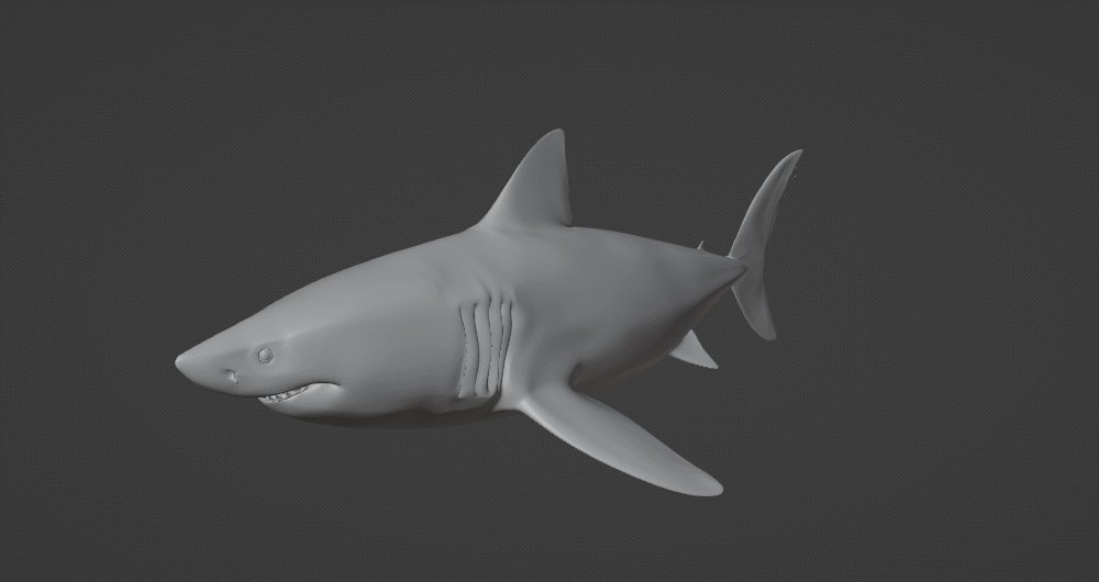shark-queen-of-the-internet-she-her-on-twitter-she-moves