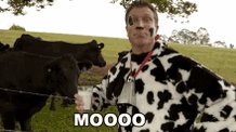 @soogz1 🐮moo https://t.co/Emc33Tdz8w