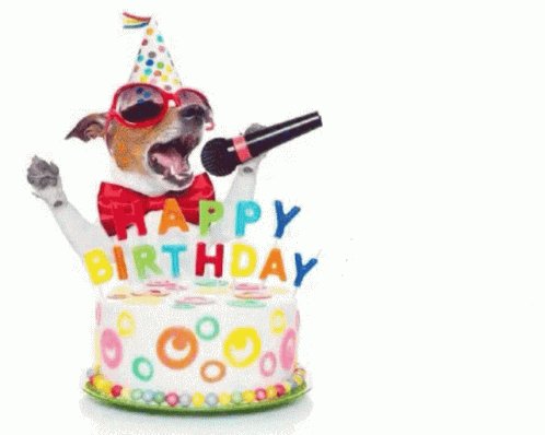 happy birthday! 