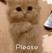 A man that&rsquo;s always horny will fuck another man&hellip;. I just wanna know if I could join?? 💦😝 https://t.c<a href="/tag/assworship"class="tags"><span>#assworship</span></a><a href="/tag/domme"class="tags"><span>#domme</span></a><a href="/tag/humiliation"class="tags"><span>#humiliation</span></a><a href="/tag/findomgodess"class="tags"><span>#findomgodess</span></a>