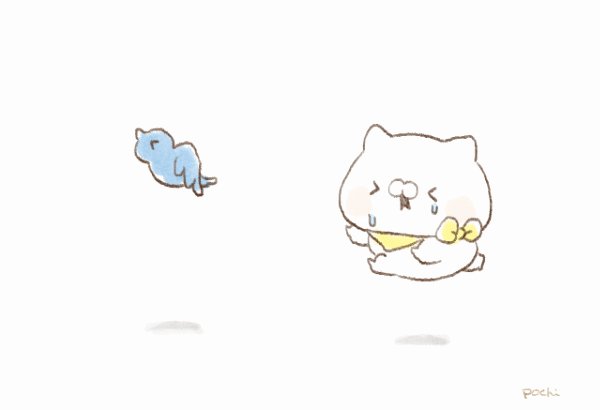 いかないでよぉぉおぉ😭🕊 #青い鳥さん