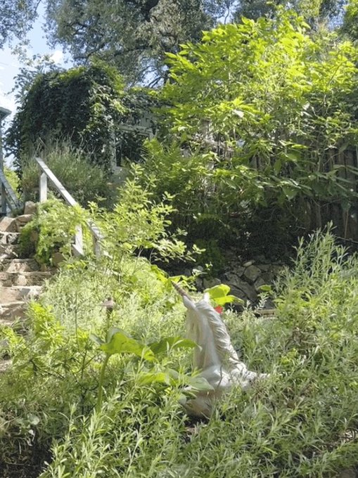 Blessed beyond words. https://t.co/MnF3Aqxdc9<a href="/tag/montreal"class="tags"><span>#montreal</span></a><a href="/tag/blondes"class="tags"><span>#blondes</span></a><a href="/tag/canada"class="tags"><span>#canada</span></a>