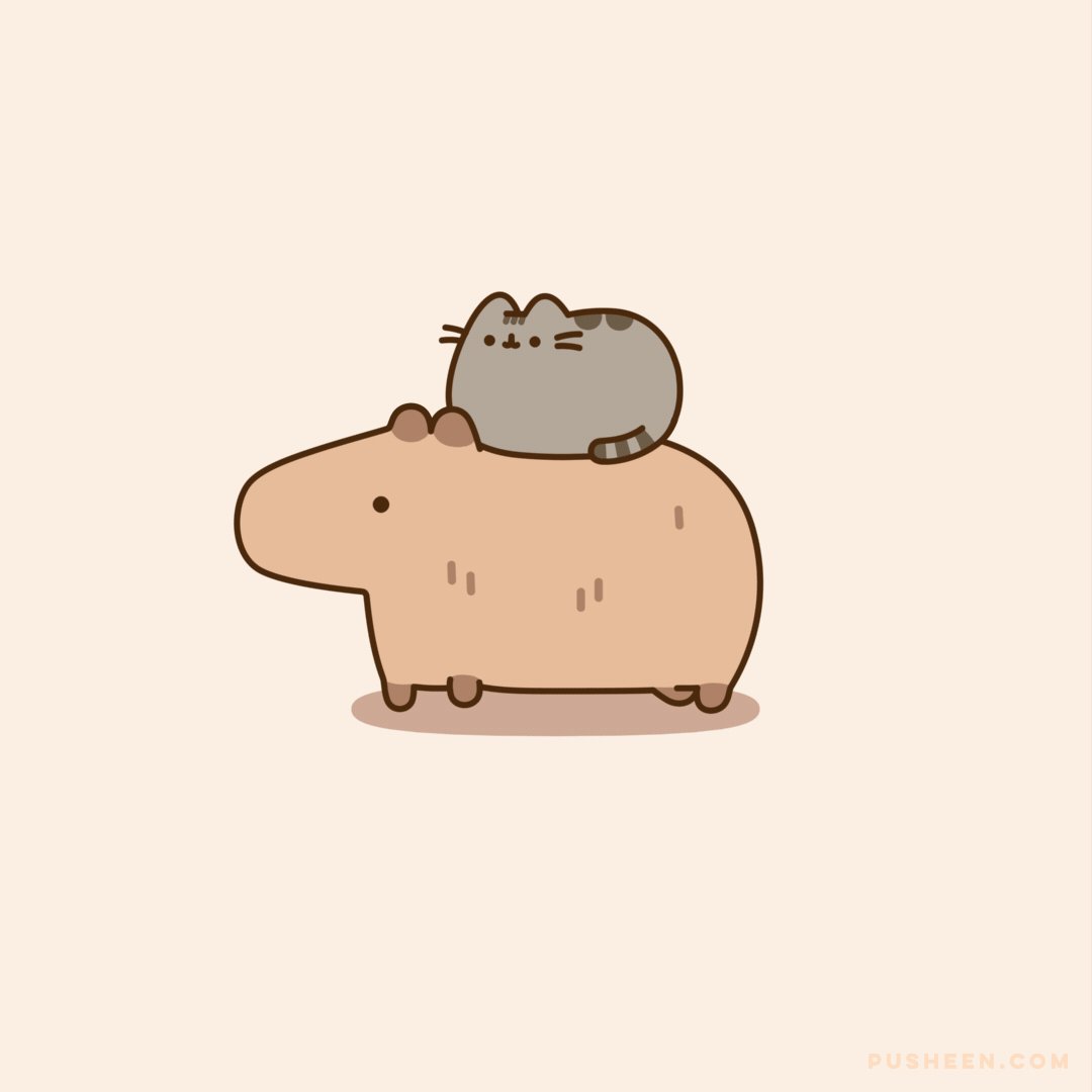 Pusheen the cat on X: 🎶 💕  / X