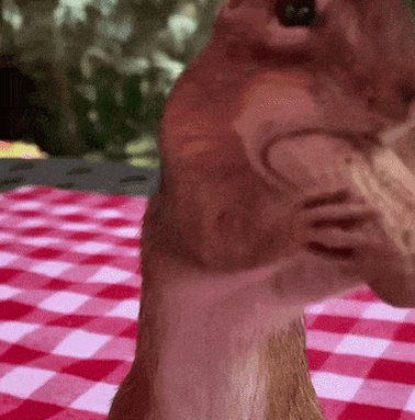 Welcome to the cheeky side of the internet. https://t.co/57dIaDolG7