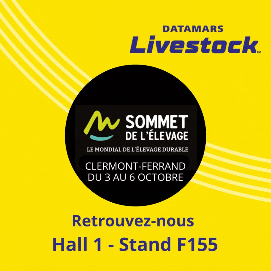 DatamarsEurope s video Tweet
