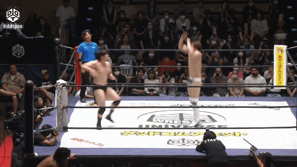 Ddt hotsell pro wrestling