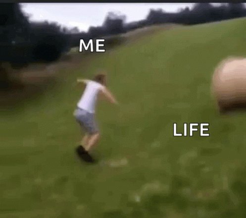 Like everyone, at times, I feel like this. Remember, you can learn to move on that hay and roll on top