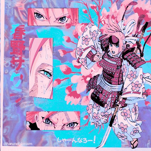 ₊· ͟͟͞͞➳❥ Sakura Haruno Evolução 🌷