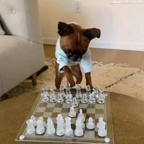 French Bulldog Chess Set