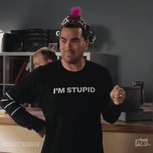 David Rose Im Stupid GIF