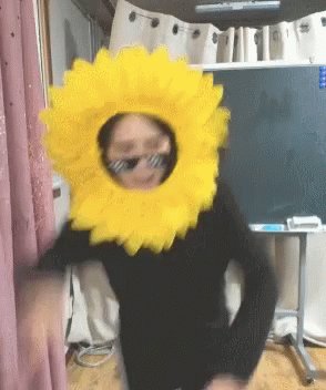Shabang Shabang Sunflower GIF