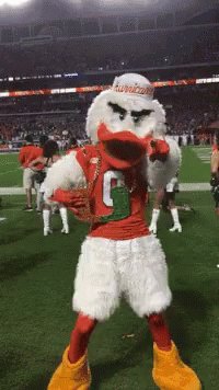 Miami Miamihurricanes GIF