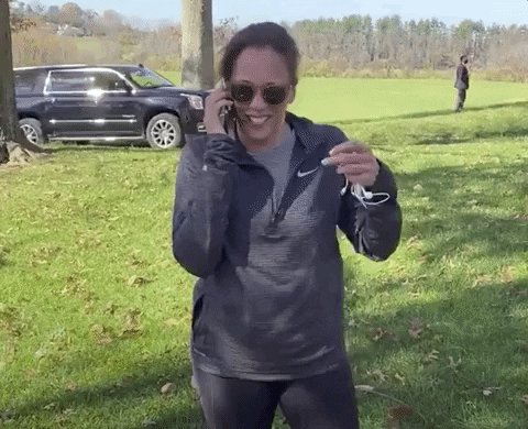 Kamala Harris Veep GIF by E...