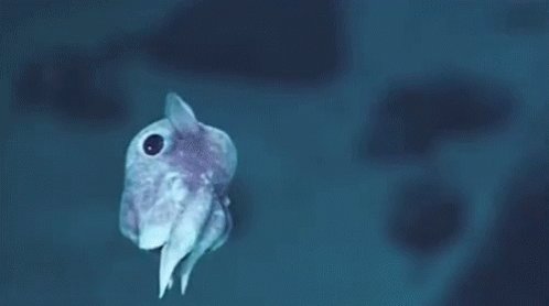 Leave Gotta GIF