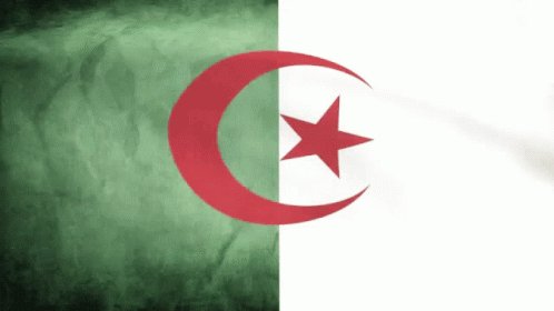 Flag Of Algeria Algerian Flag GIF